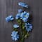 12 Pack: Blue Delphinium Daisy Spray by Ashland&#xAE;